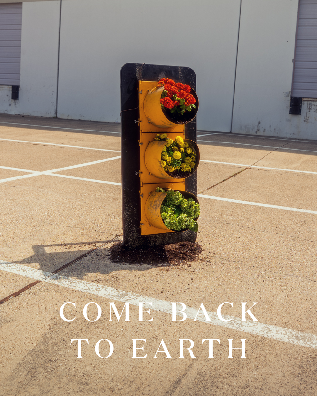 Miracle-Gro Earth Day social post 26