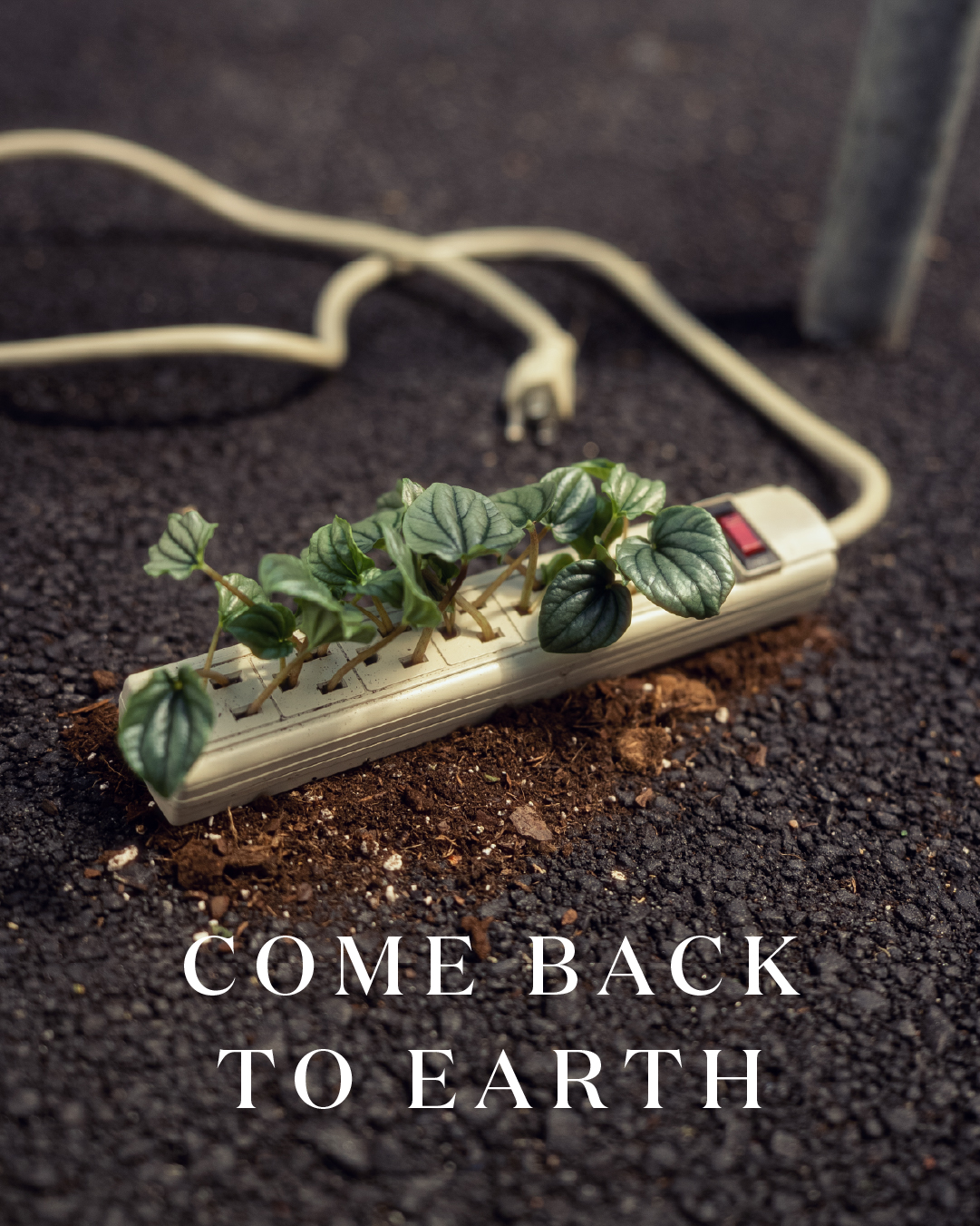 Miracle-Gro Earth Day social post 27
