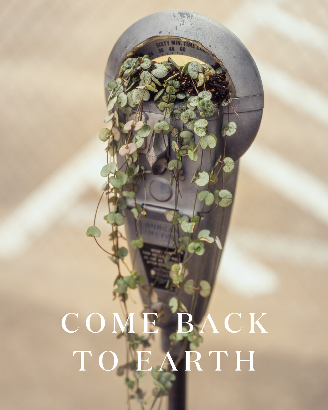 Miracle-Gro Earth Day social post 28