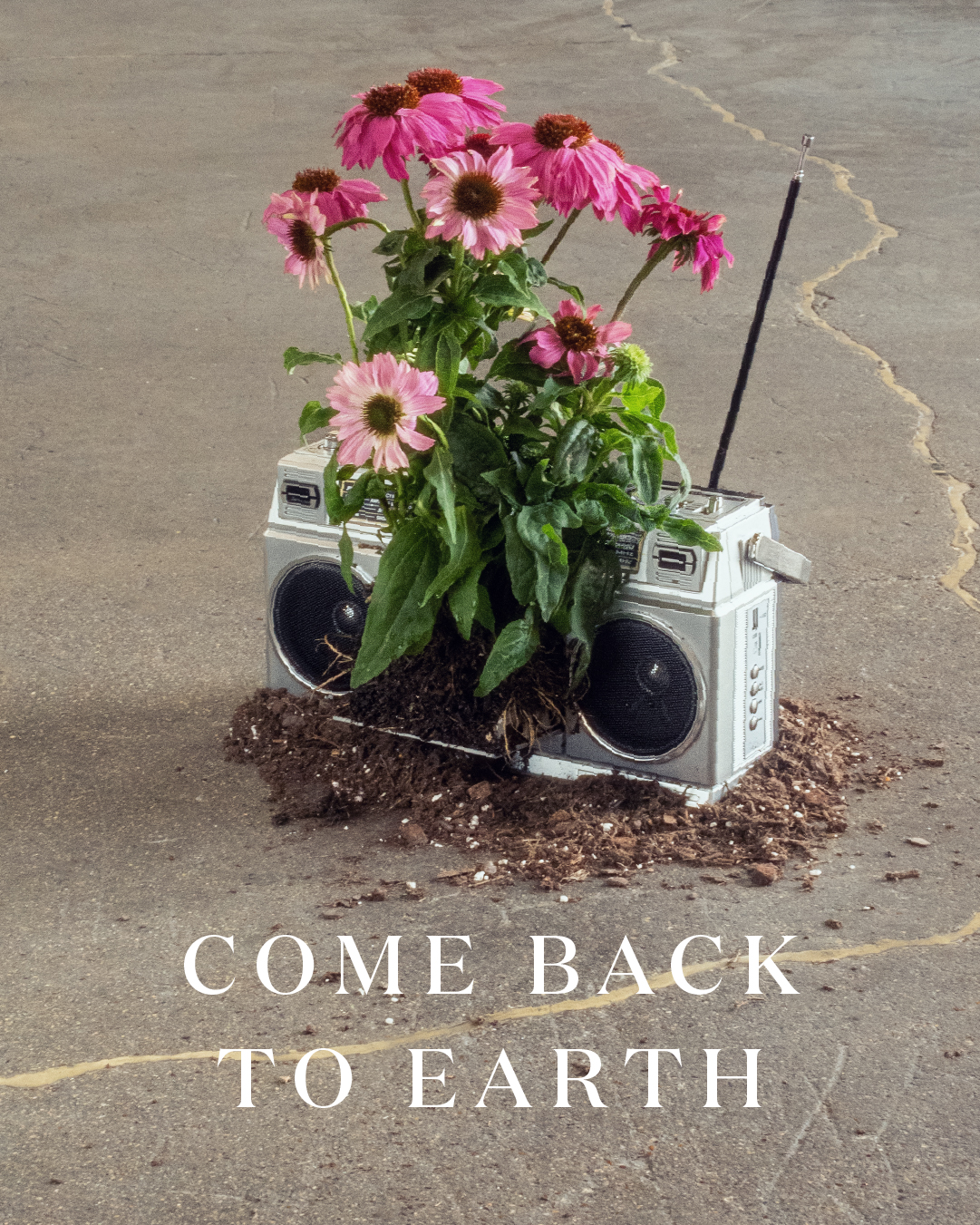 Miracle-Gro Earth Day social post 29