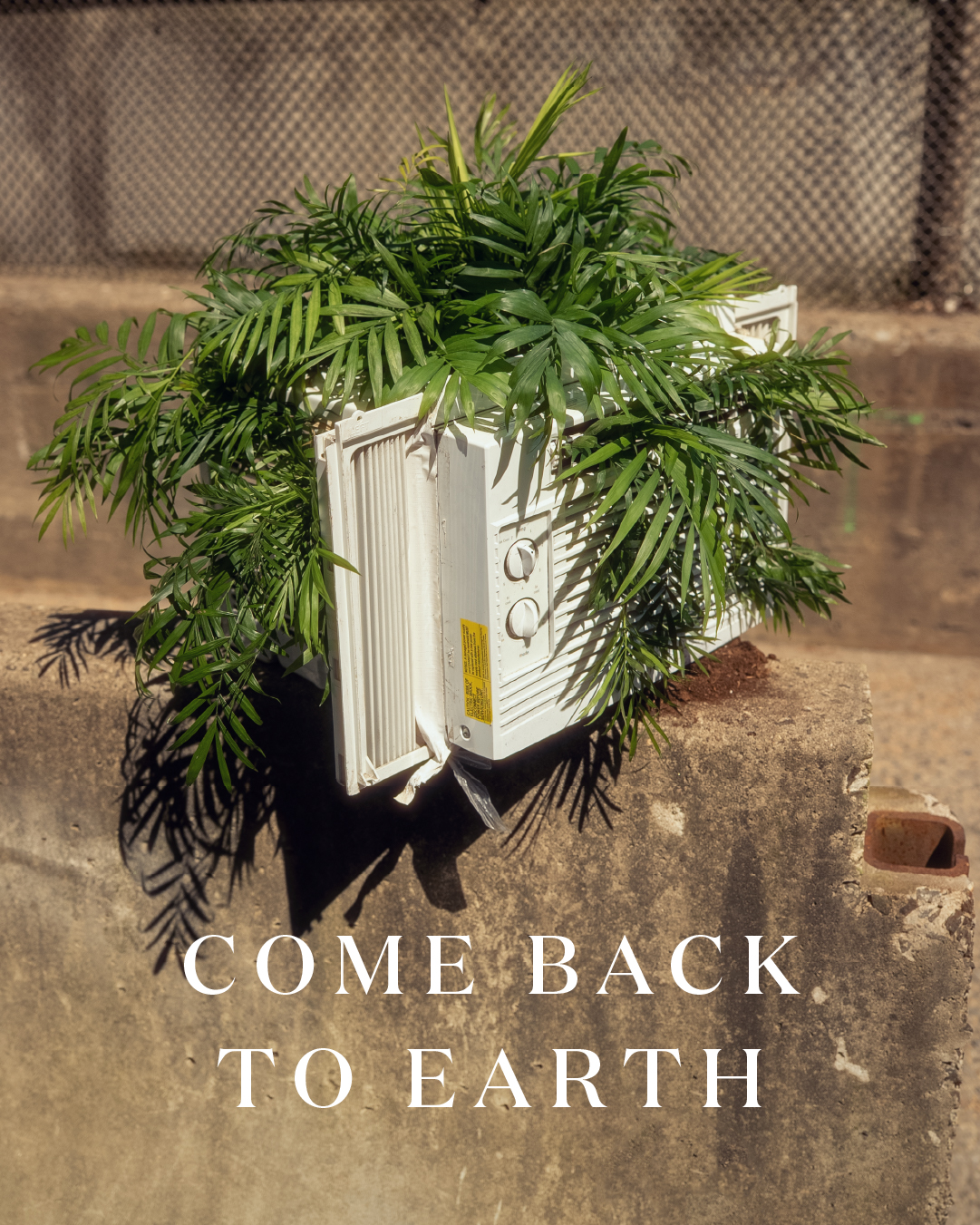 Miracle-Gro Earth Day social post 30