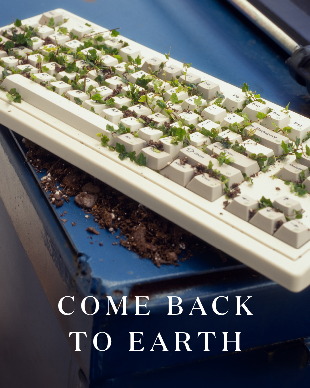 Miracle-Gro Earth Day social post 31