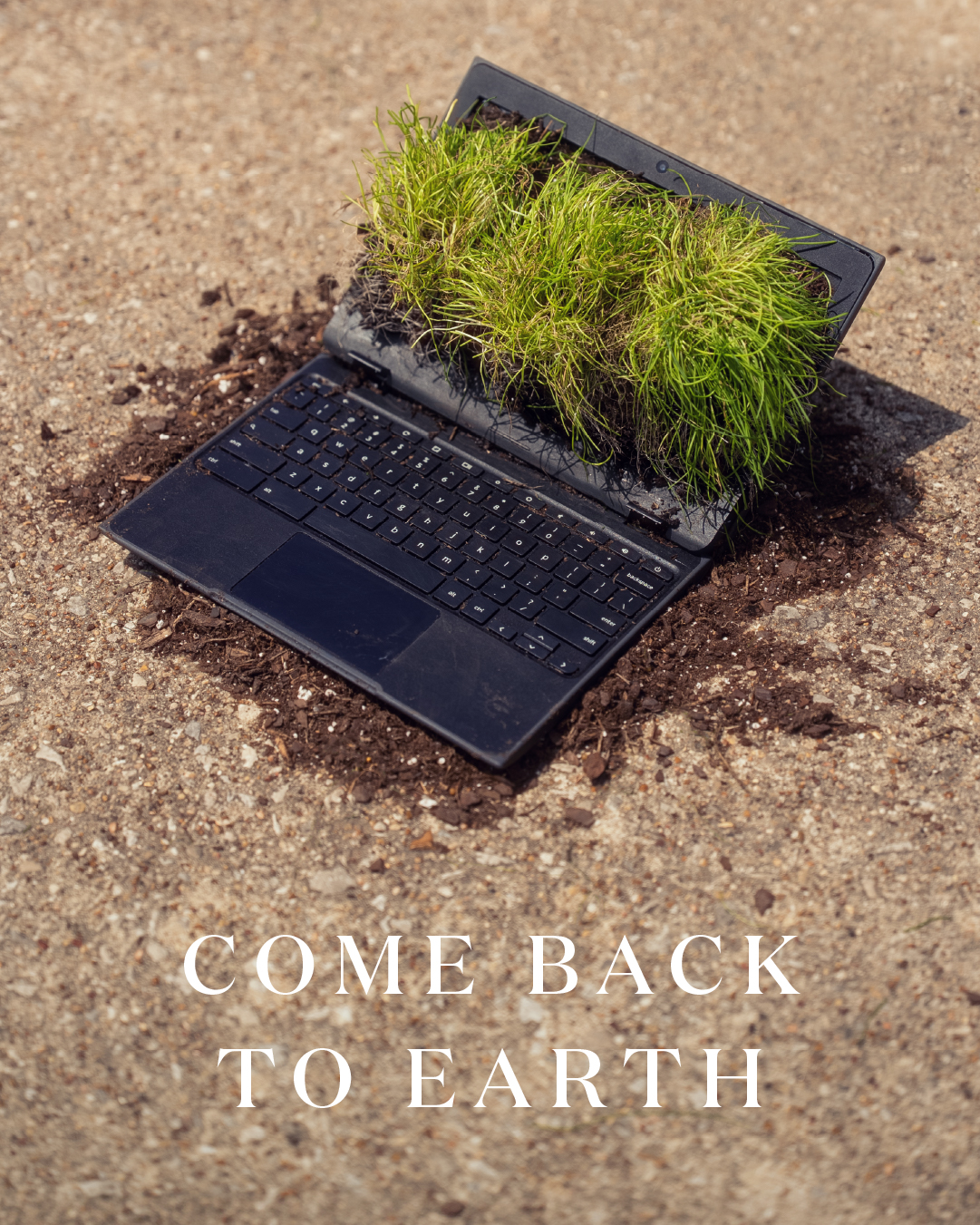 Miracle-Gro Earth Day social post 32