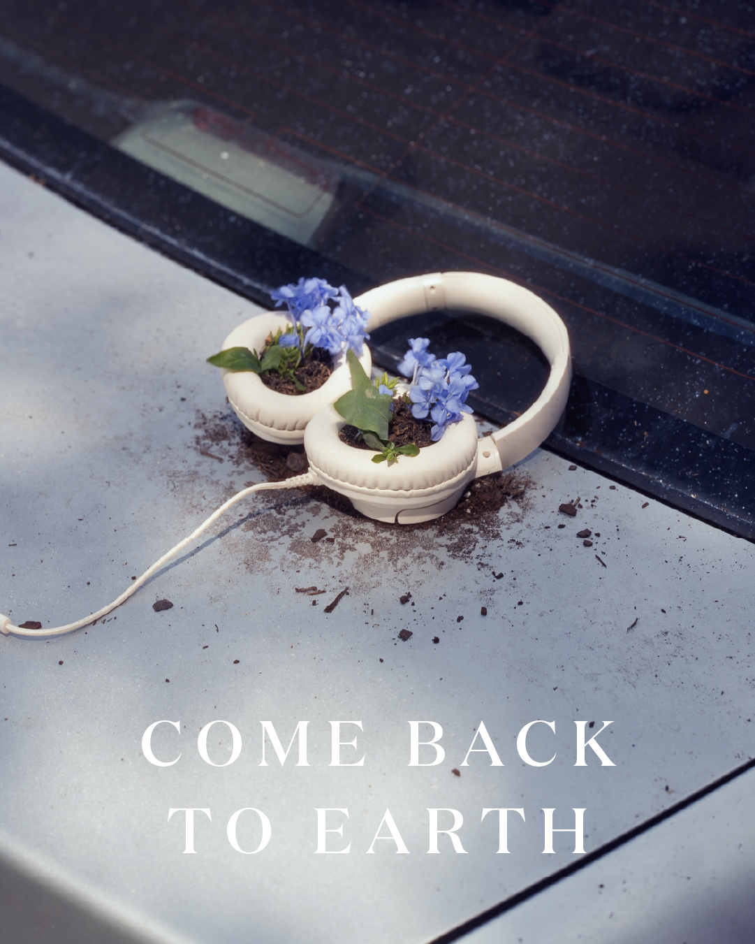 Miracle-Gro Earth Day social post 33