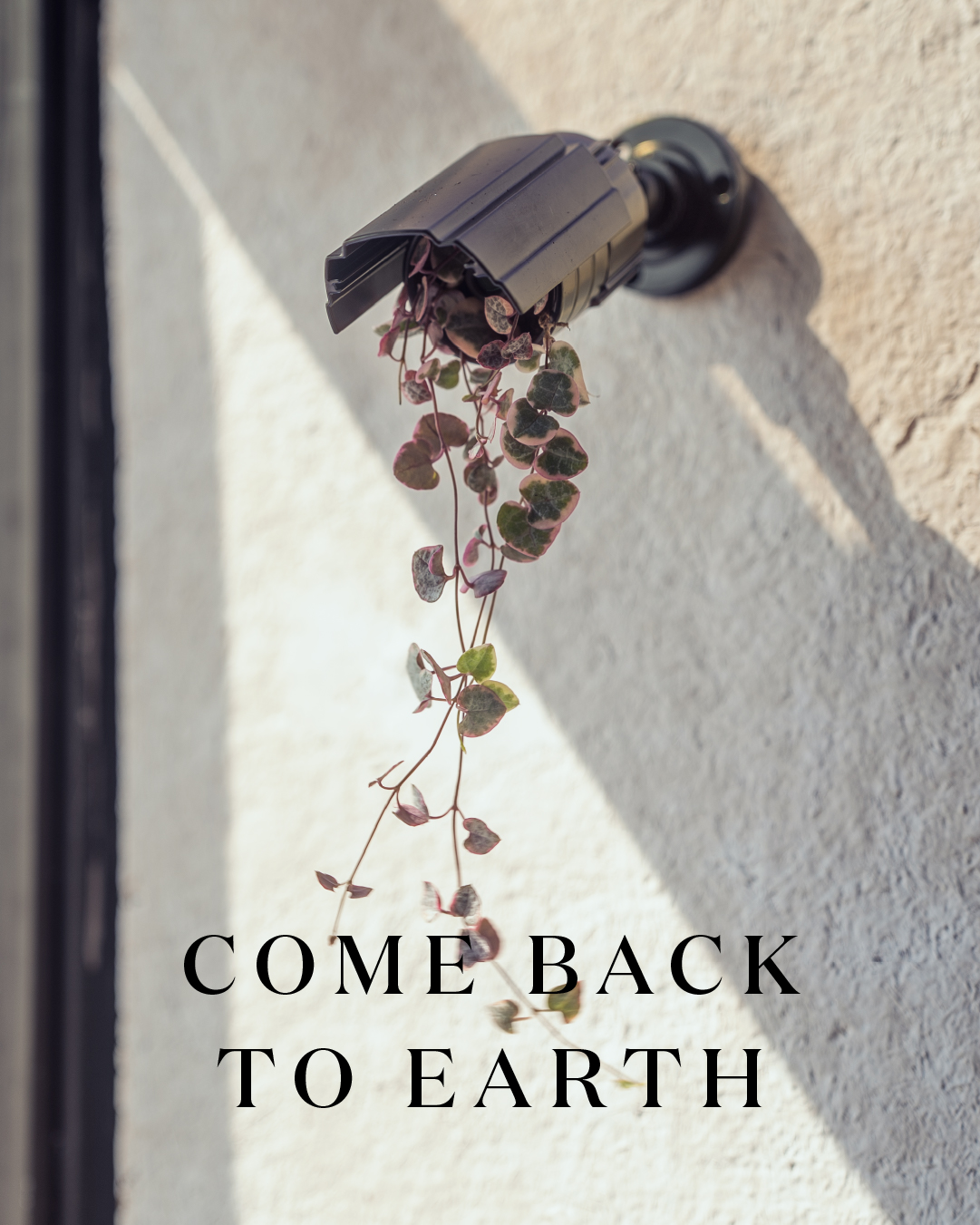 Miracle-Gro Earth Day social post 34