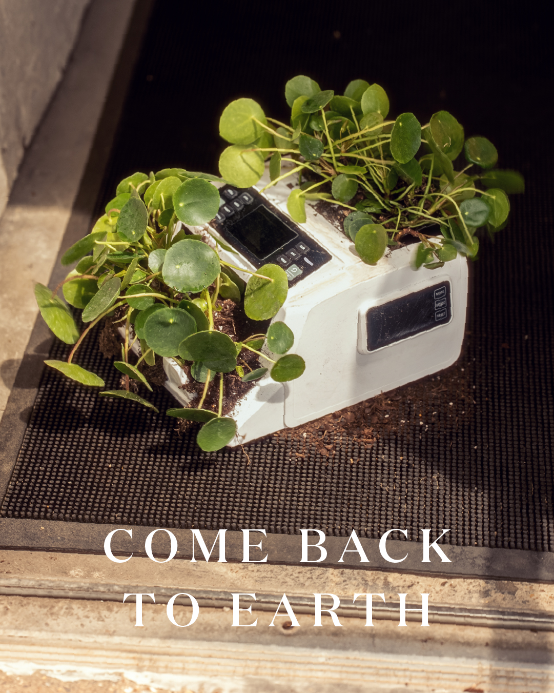 Miracle-Gro Earth Day social post 35