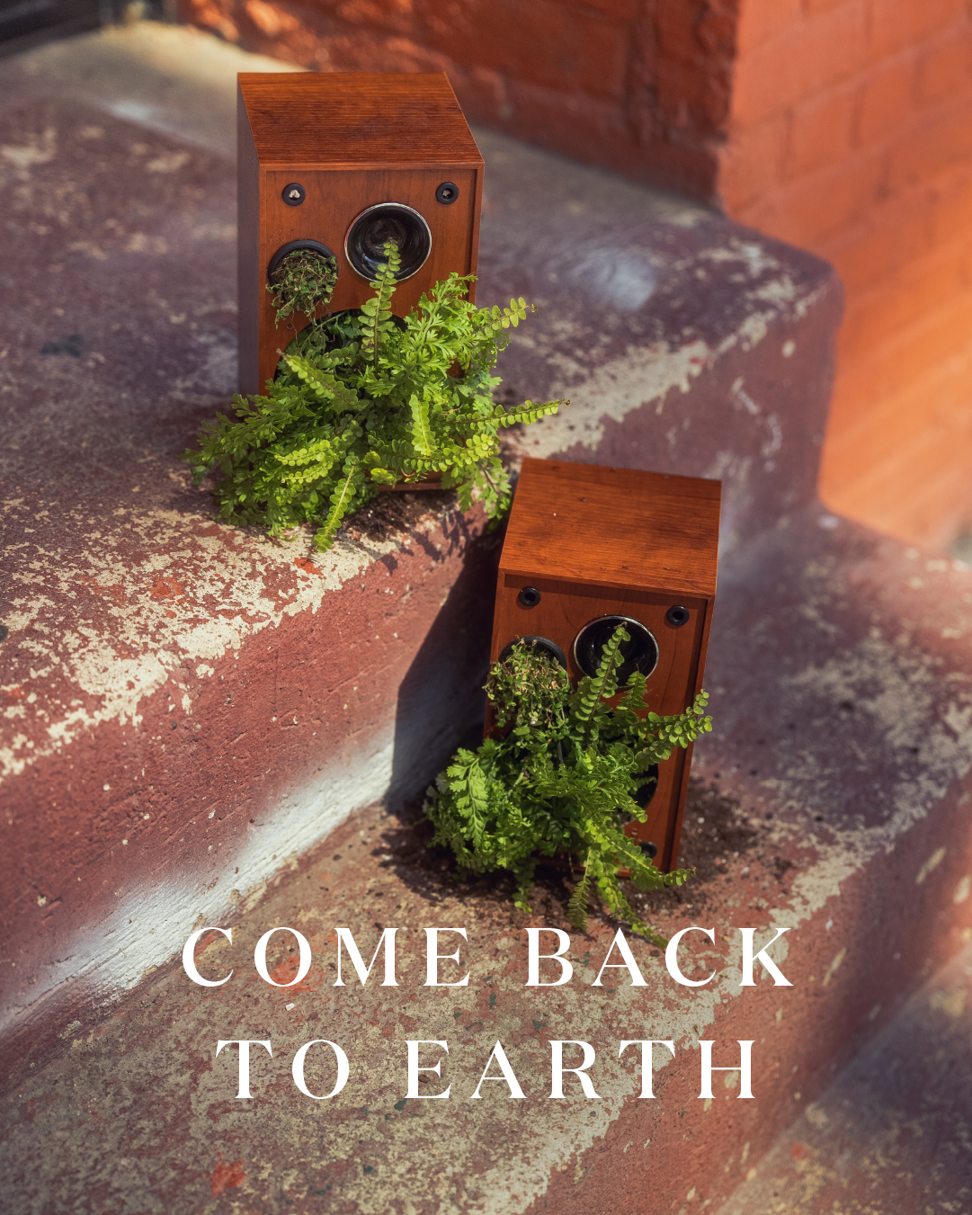 Miracle-Gro Earth Day social post 36