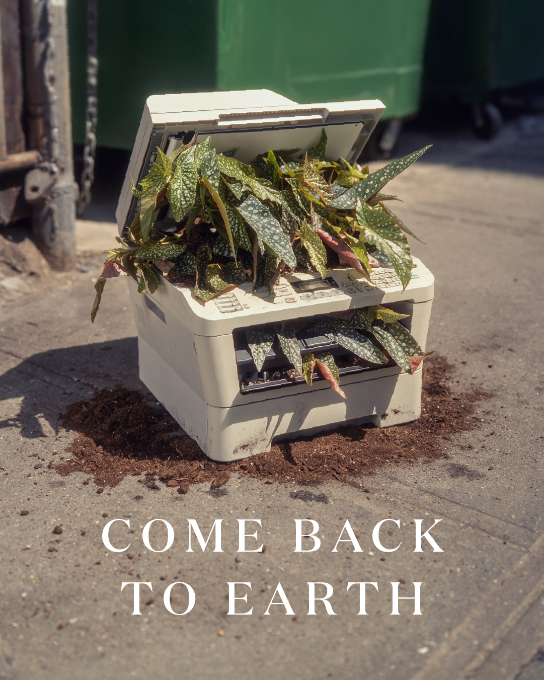Miracle-Gro Earth Day social post 37