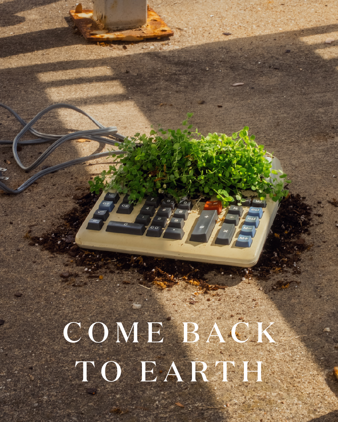 Miracle-Gro Earth Day social post 38