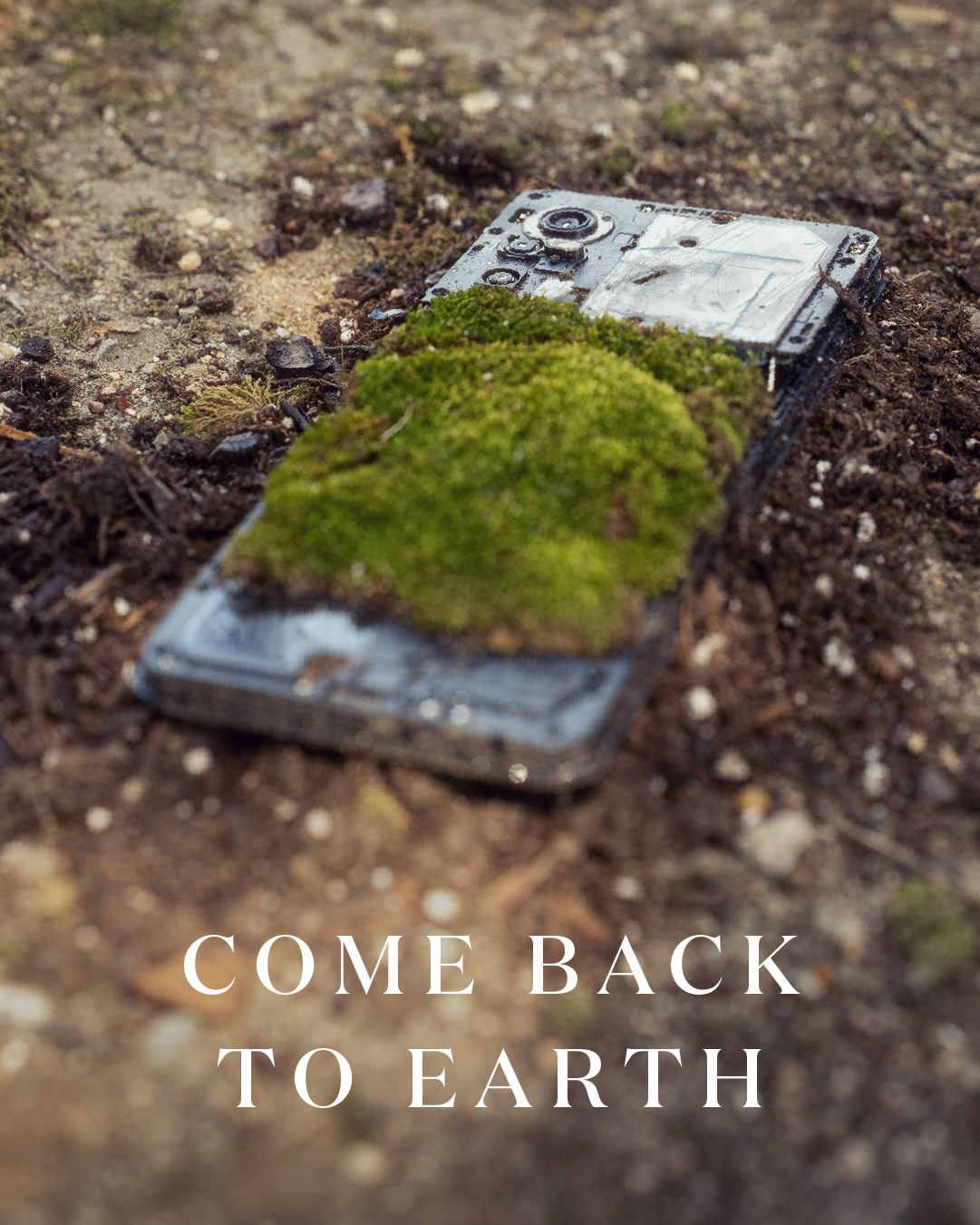 Miracle-Gro Earth Day social post 39