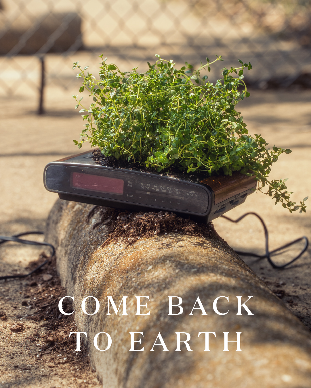 Miracle-Gro Earth Day social post 40