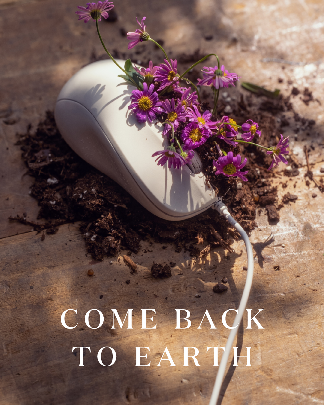 Miracle-Gro Earth Day social post 41