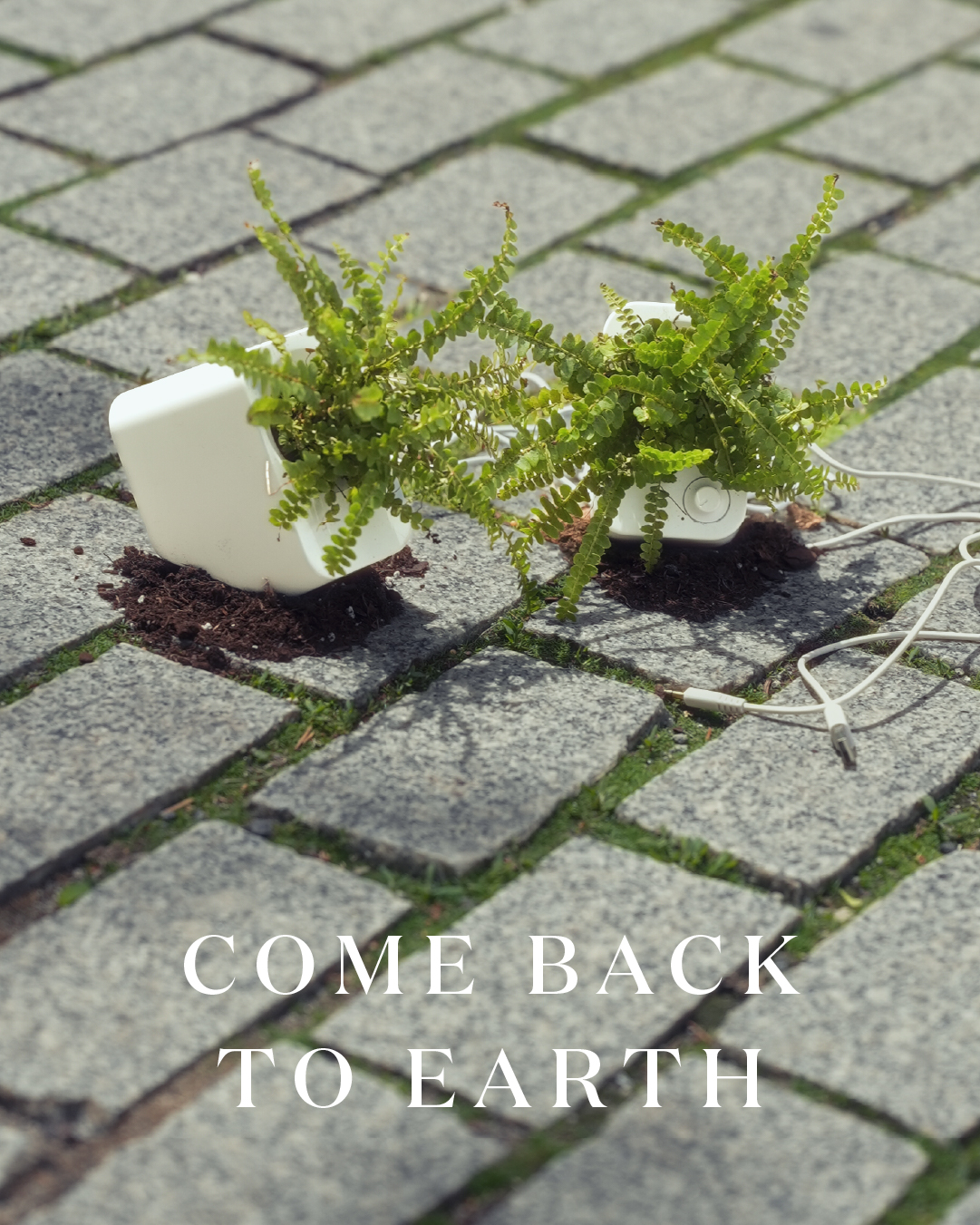 Miracle-Gro Earth Day social post 42