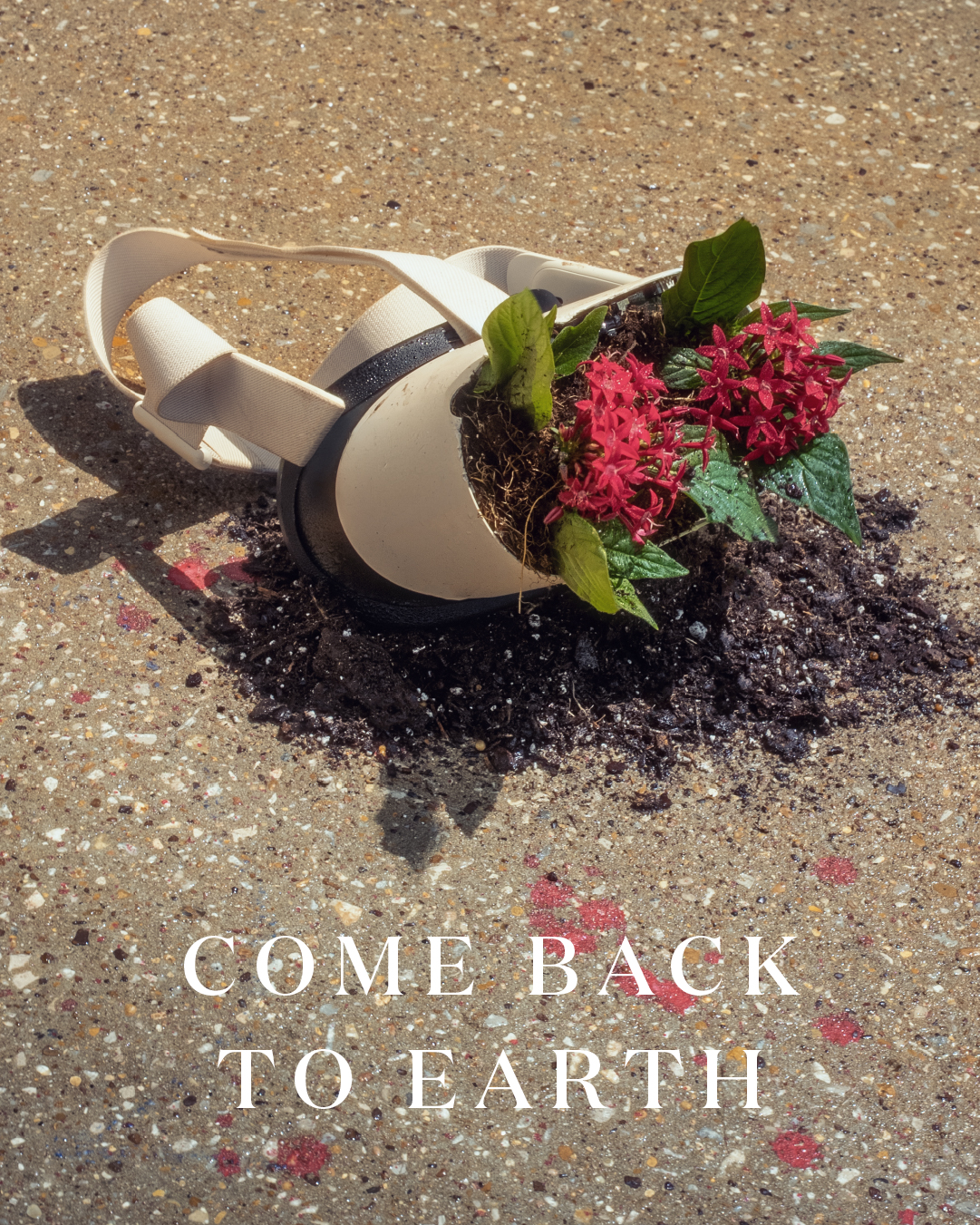 Miracle-Gro Earth Day social post 43
