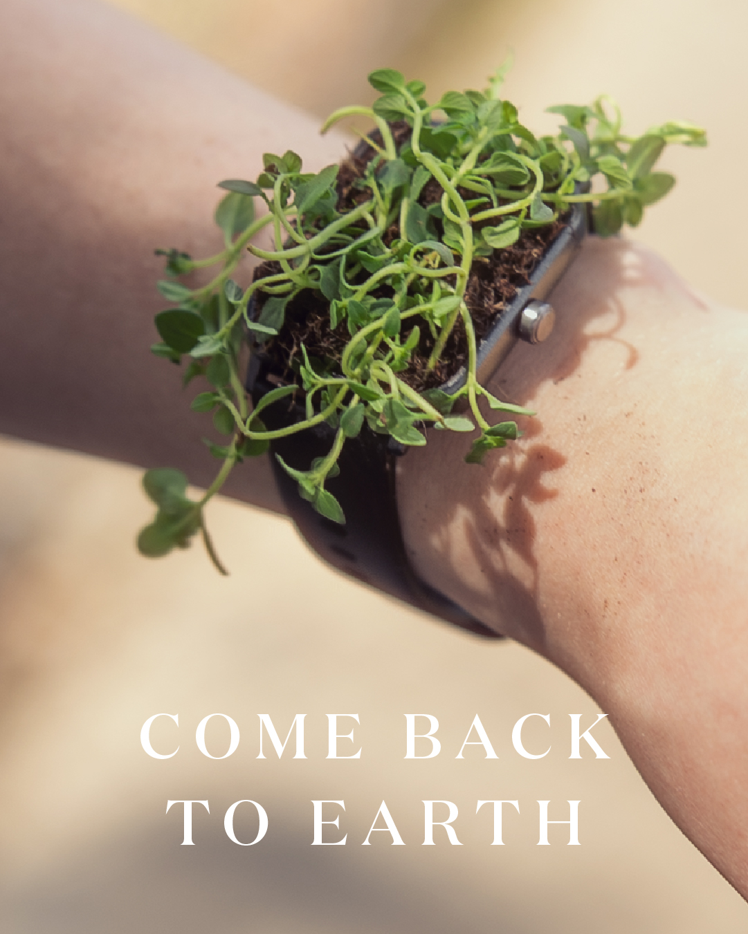 Miracle-Gro Earth Day social post 44