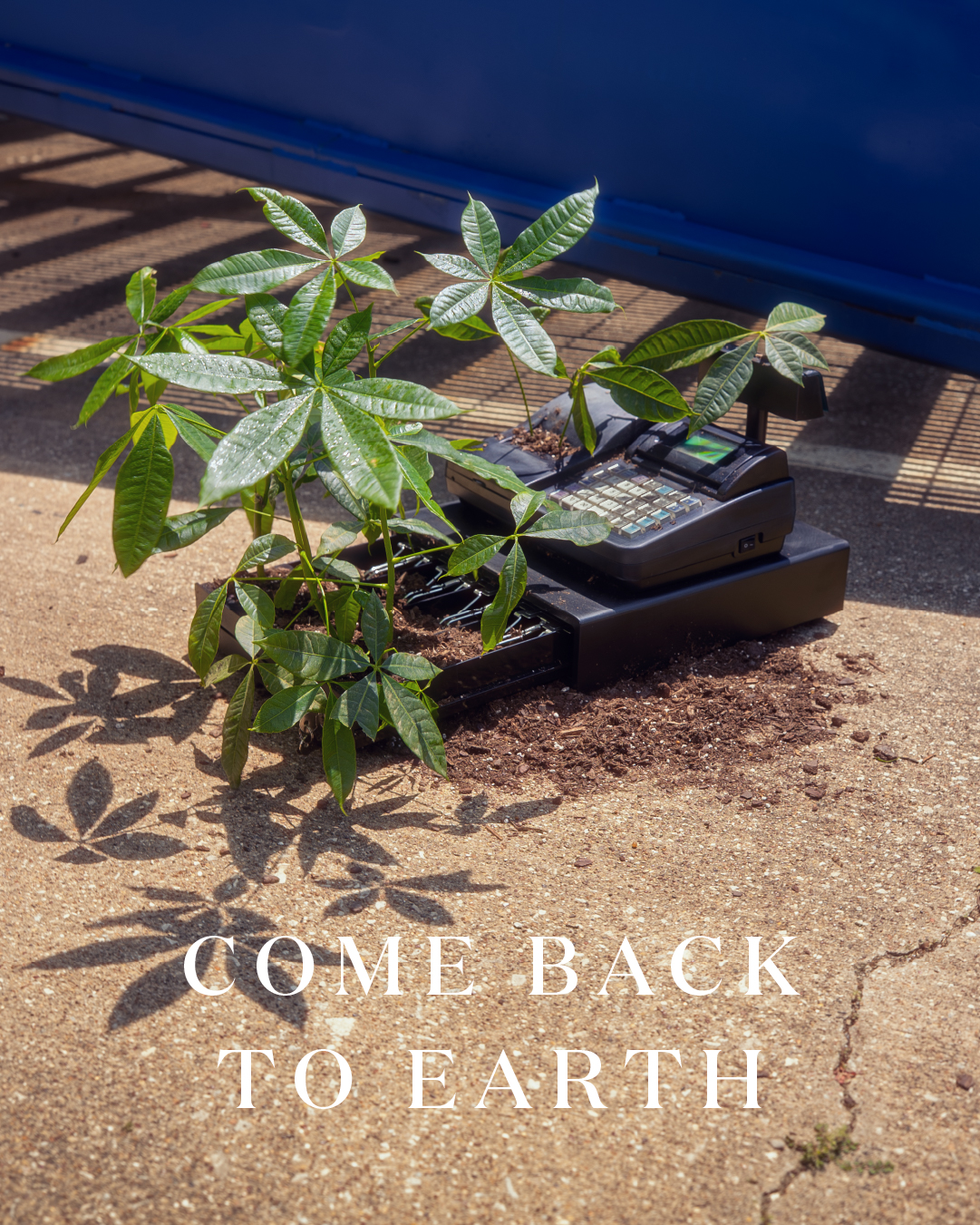 Miracle-Gro Earth Day social post 45