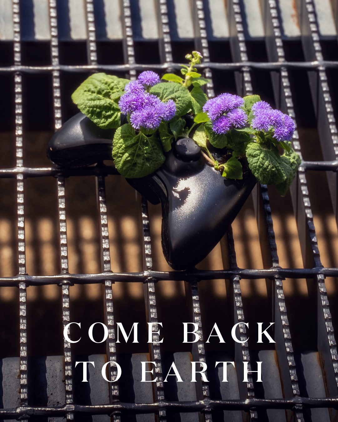 Miracle-Gro Earth Day social post 46