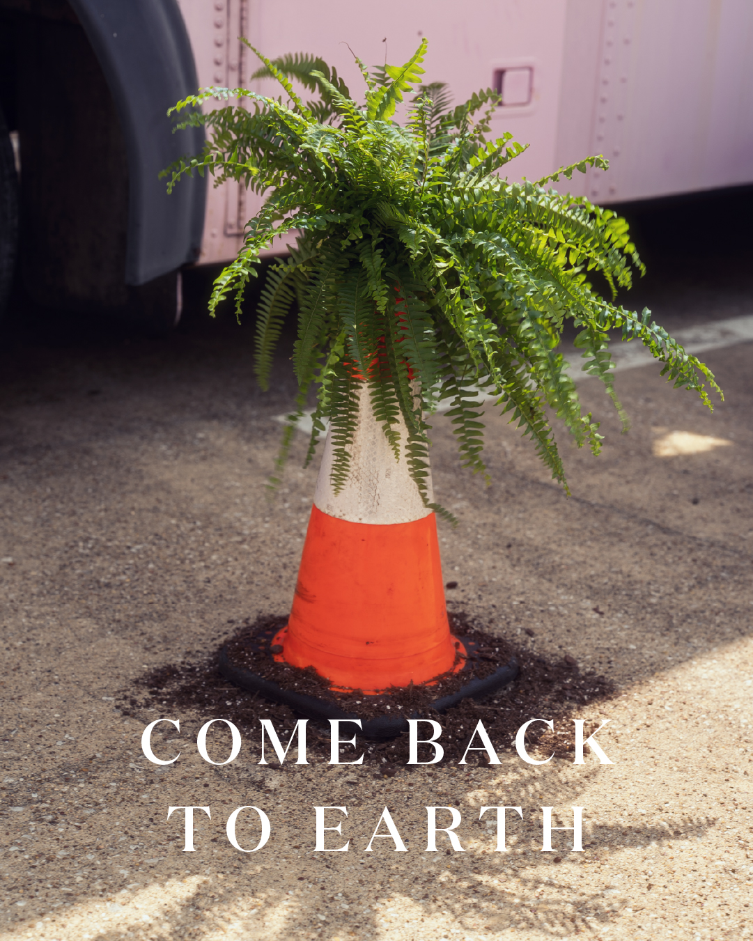 Miracle-Gro Earth Day social post 48
